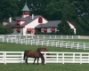 Equestrian center: Champion Hills