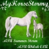 MyHorseStormy - Horzer horse breeder 